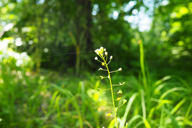 Similar image 21467173