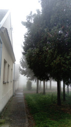 Similar image 21467184