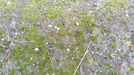 Similar image 21468590