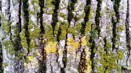 Similar image 21468594