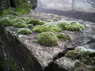 Similar image 21468600