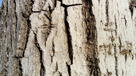 Similar image 21468610