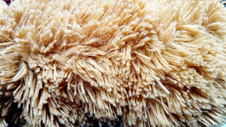 Similar image 21468634