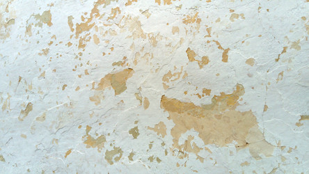 Similar image 21468795