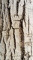 Similar image 21468797