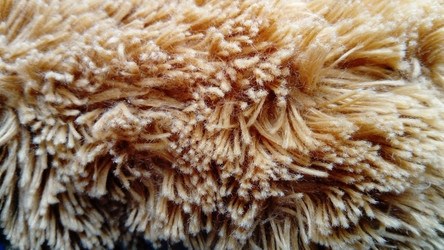 Similar image 21468801