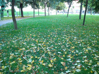 Similar image 21468806