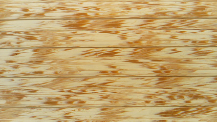 Similar image 21468836