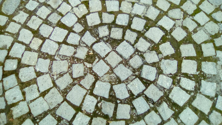 Similar image 21468841