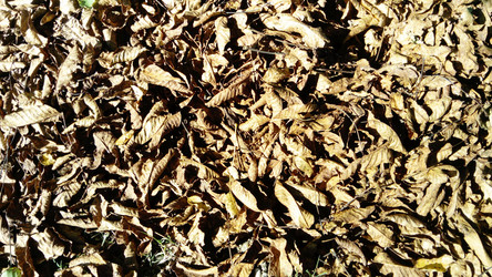 Similar image 21468847