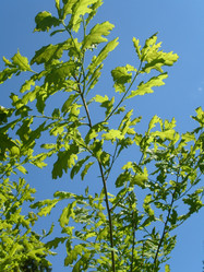 Similar image 21468868