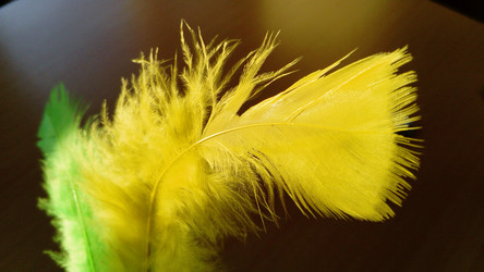 Similar image 21468877