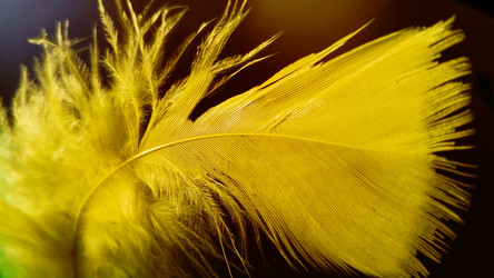 Similar image 21468878