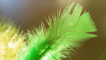 Similar image 21468879