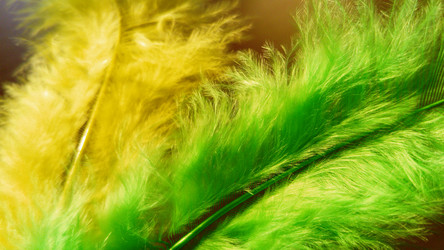 Similar image 21468880