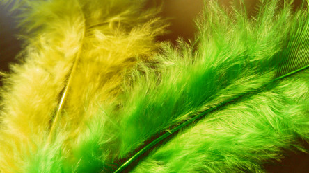 Similar image 21468881