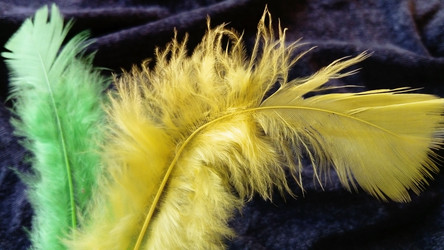 Similar image 21468883