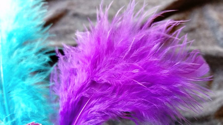 Similar image 21468884