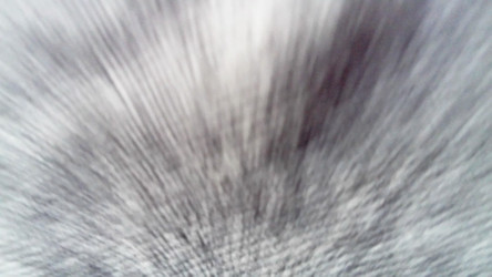 Similar image 21468887