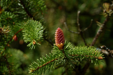 Similar image 21451937