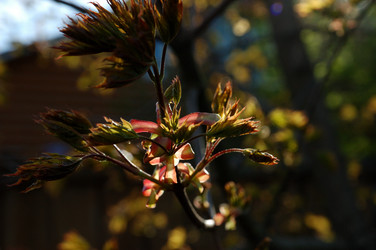 Similar image 21451938