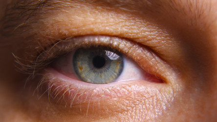 Similar image 21454098