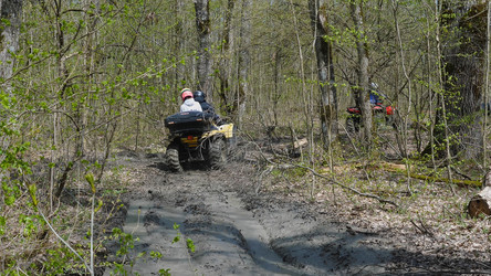 Similar image 21452288