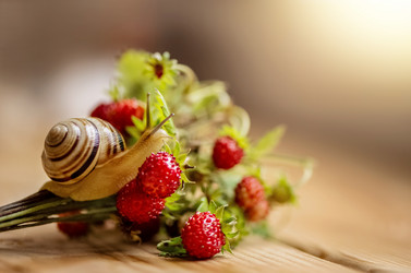 Similar image 21454312