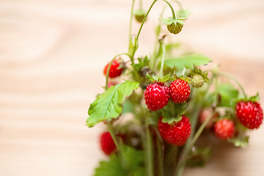 Similar image 21454314