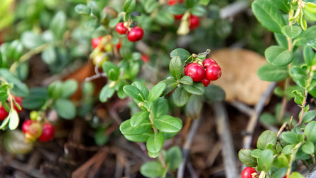 Similar image 21454585