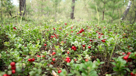 Similar image 21454587