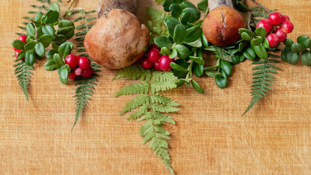 Similar image 21454589