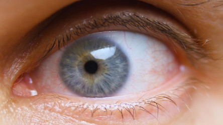 Similar image 21454105