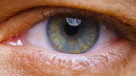 Similar image 21452128