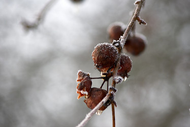 Similar image 21452129