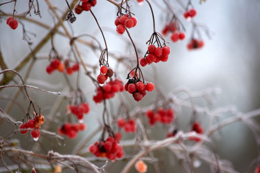 Similar image 21452130