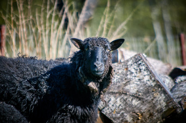 Similar image 21452133