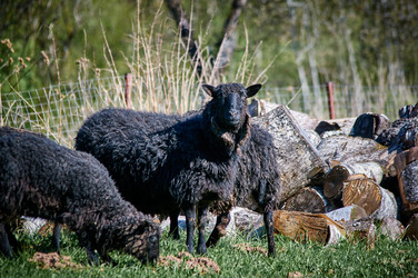 Similar image 21452134