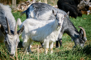 Similar image 21452135