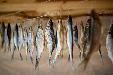 Similar image 21452136