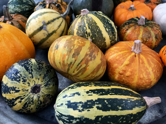 Similar image 21462478