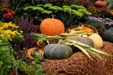 Similar image 21459631