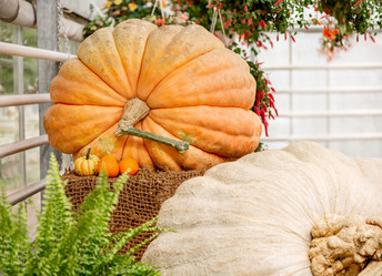 Similar image 21459632