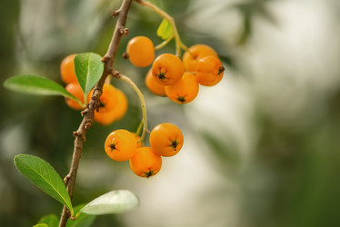 Similar image 21456290