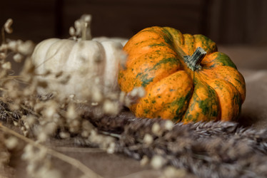 Similar image 21459633