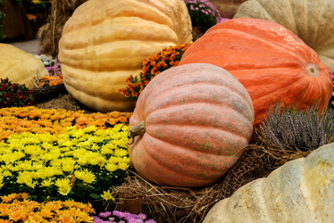 Similar image 21462482