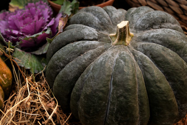 Similar image 21456293