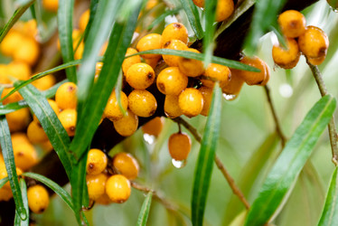 Similar image 21467376