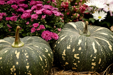 Similar image 21459634