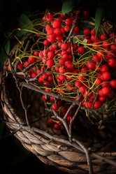 Similar image 21454326